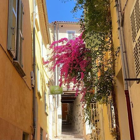 Appartement Palmiers, Coeur De Ville Sur Le Parcours Des Arts Hyères Buitenkant foto